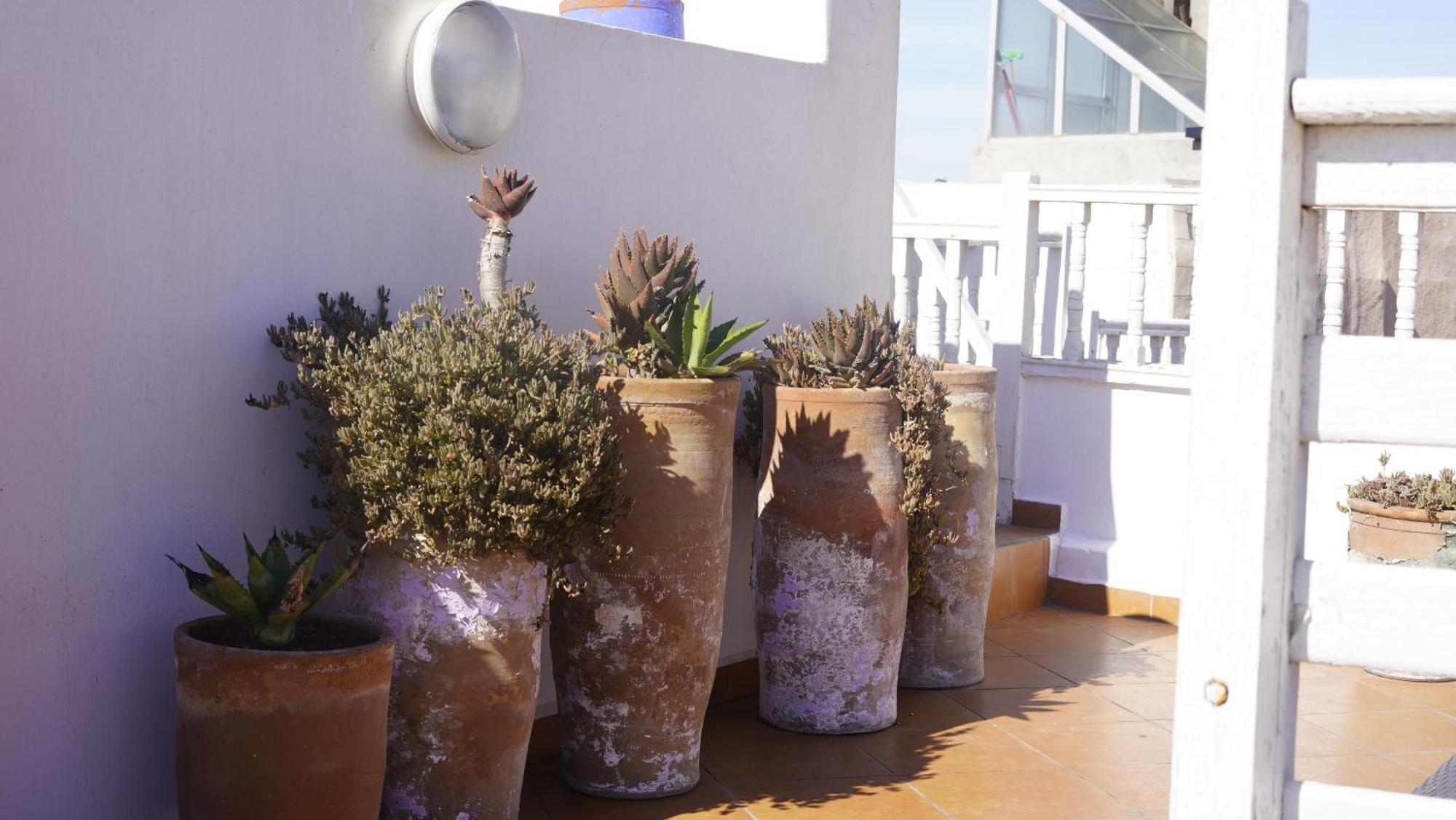 Dar Adul Hotel Essaouira Exterior foto